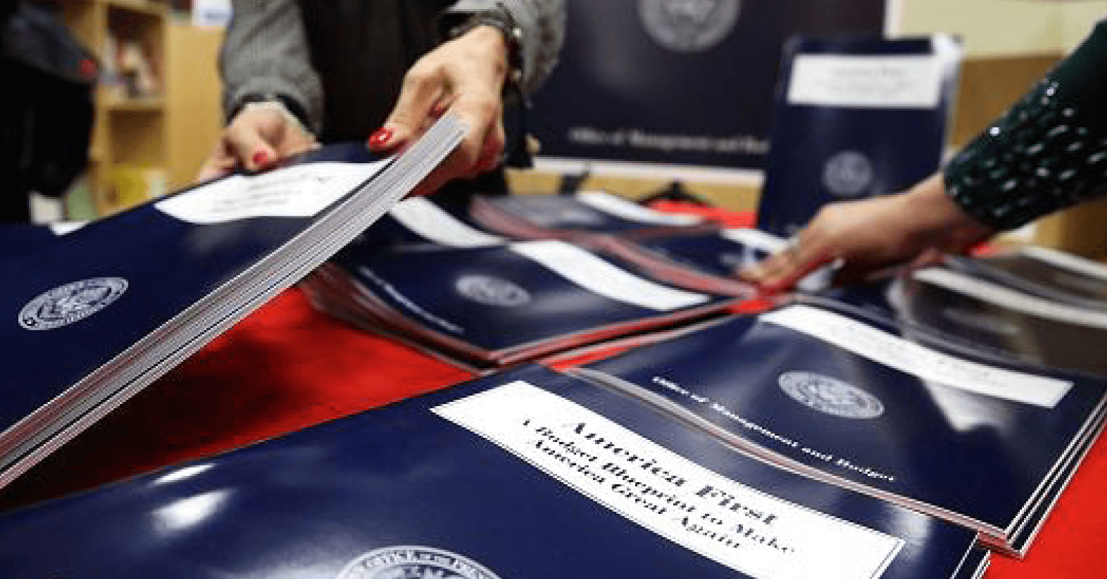 The Skinniest Budget Proposal