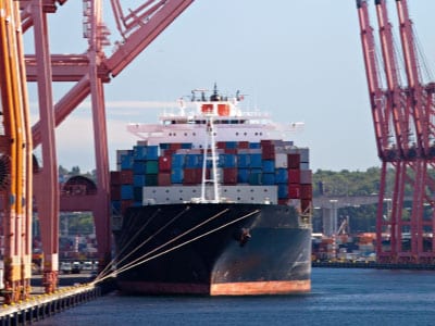 Shedding Light on Import Levies