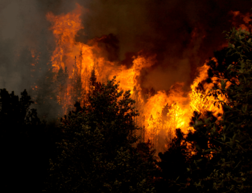 Wildfire Funding in Full Year Continuing Resolution
