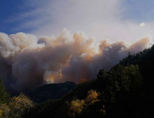 Senate Committee Passes Fix Our Forests Act